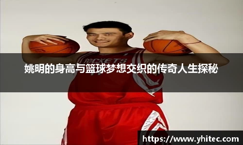 姚明的身高与篮球梦想交织的传奇人生探秘